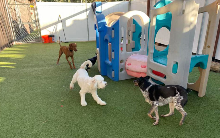 Late Night is Not a Concern