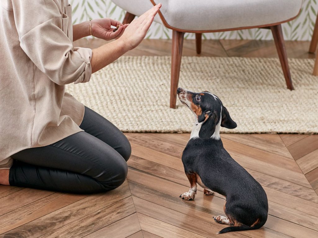 Remember to Reward Good Behaviour